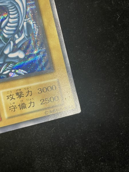 画像7: 【状態C】青眼の白龍 (初期) [シークレット] {-} (7)