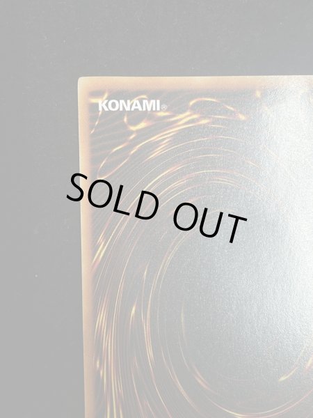 画像9: 【状態C】青眼の白龍 (初期) [シークレット] {-} (9)