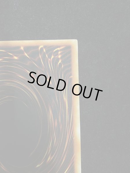 画像10: 【状態C】青眼の白龍 (初期) [シークレット] {-} (10)